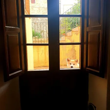 Drusilla * Castiglione dʼOrcia